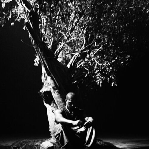 Khamari Sycamore Tree Mp3 Download