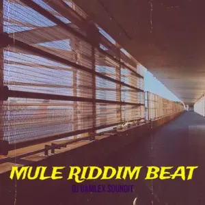 DJ Damlex Soundit Mule Riddim Beat Mp3 Download