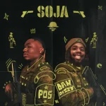 POS & DanDizzy – Soja