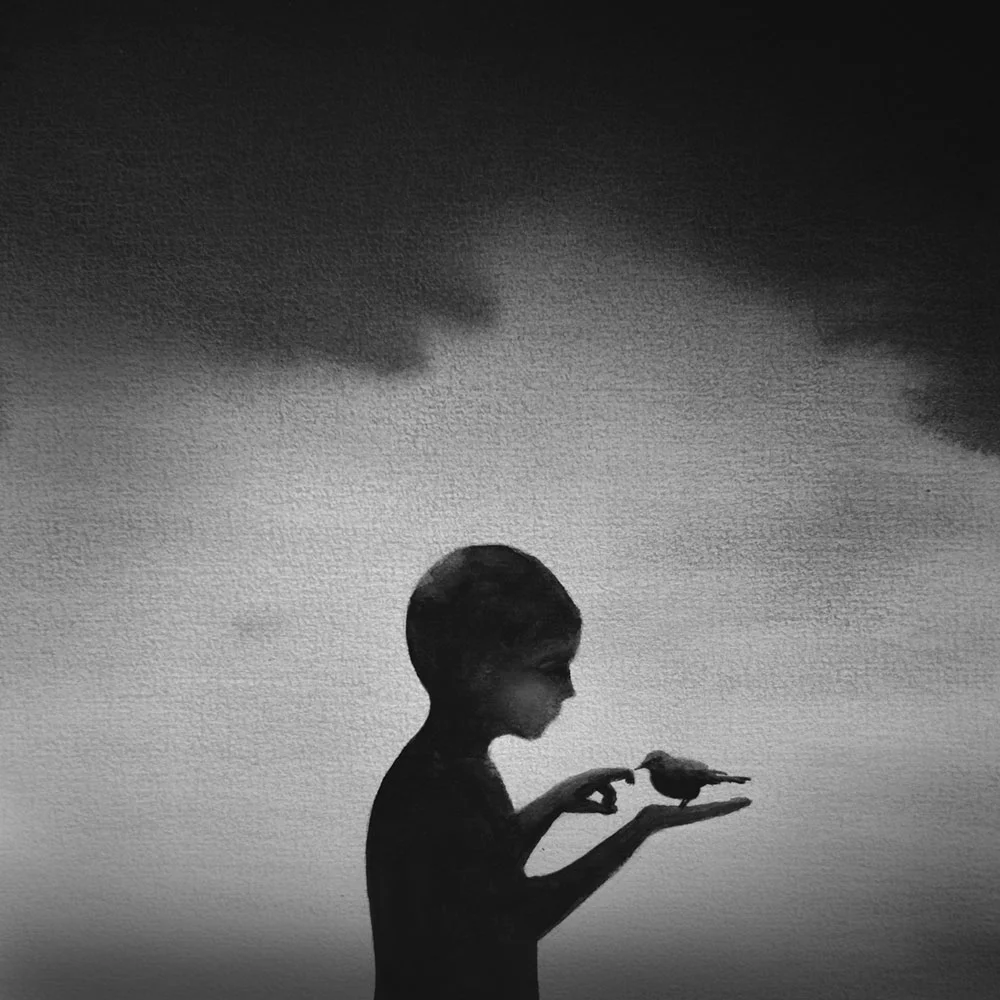 Sleeping At Last Touch Mp3 Download