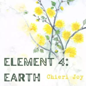 chieri joy leaving under the trees instrumental mp3 music audio album download 300x300 1
