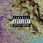 Yng Eight – No Meu Bolso Ft. Yung GB