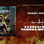 Nisha Ts – Zvakadaro