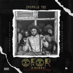 Sparkle Tee – Ofor Omamme